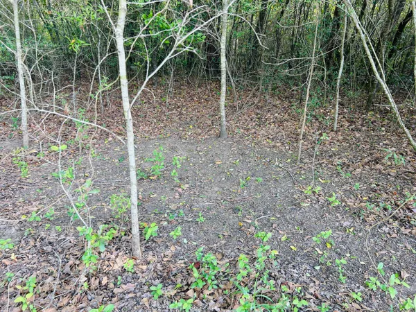 $125,000 | 3058 Surrey Race Road, Springfield, SC 29146