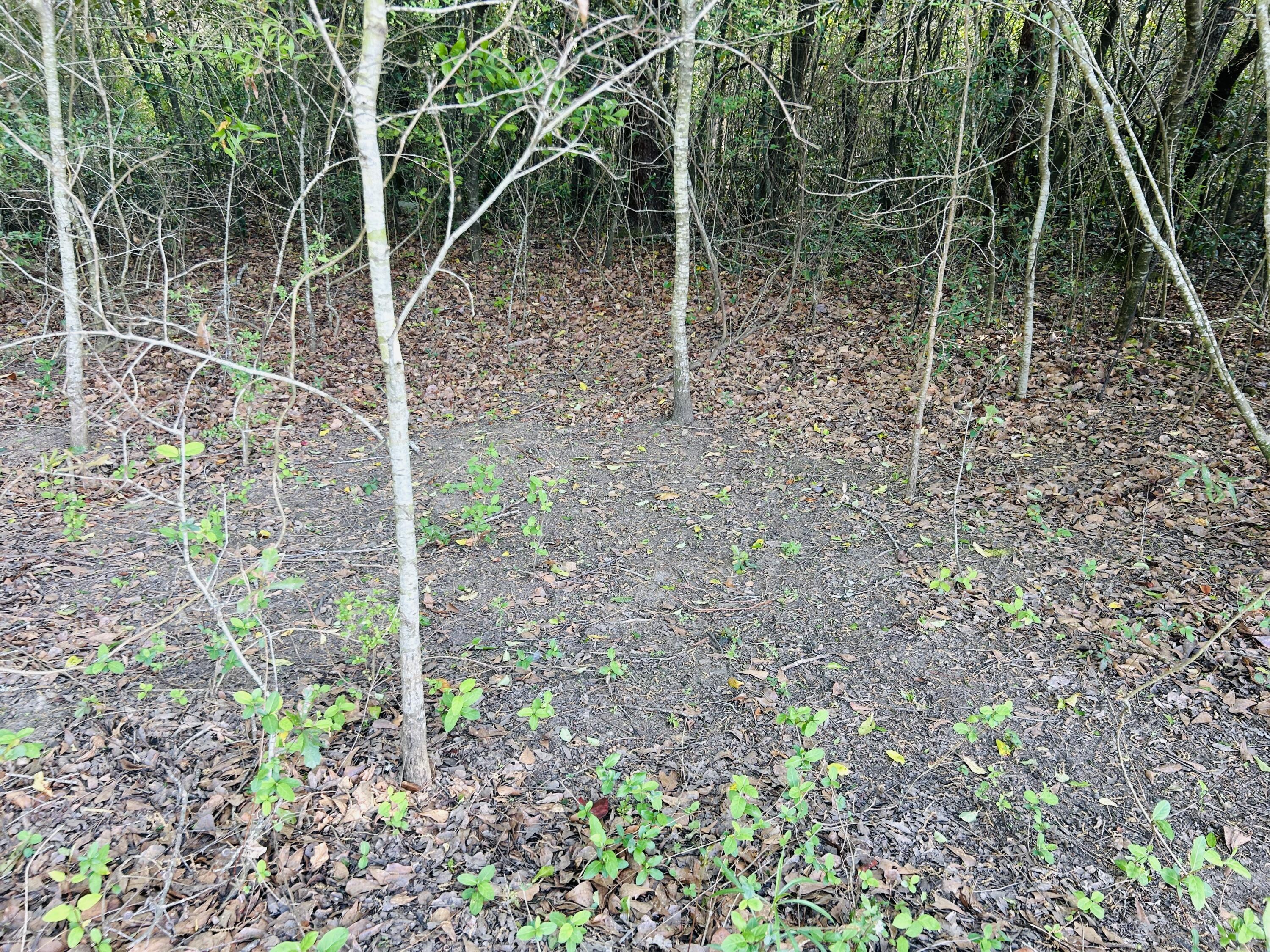 3058 Surrey Race Road Springfield, SC 29146 - Photo 23 of 25 IMG_3865