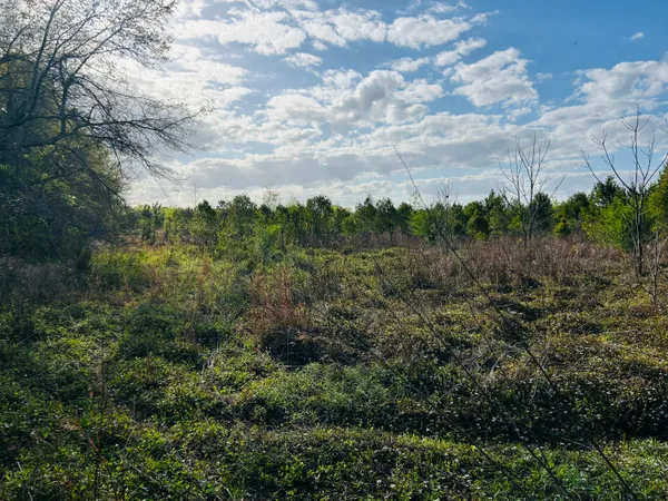 $125,000 | 3058 Surrey Race Road, Springfield, SC 29146