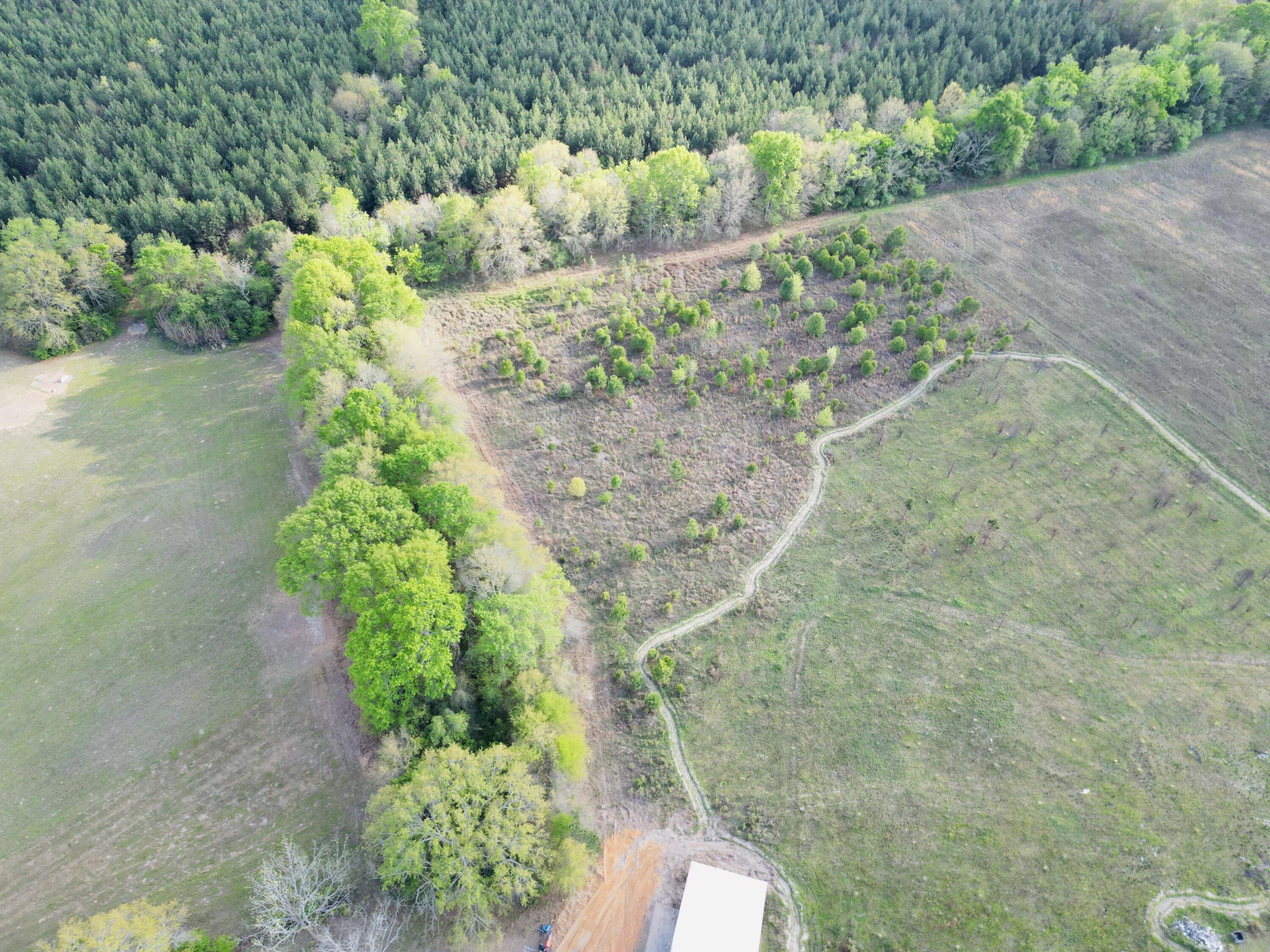 3058 Surrey Race Road Springfield, SC 29146 - Photo 5 of 25 dji_fly_20260329_180544_923_177482398837