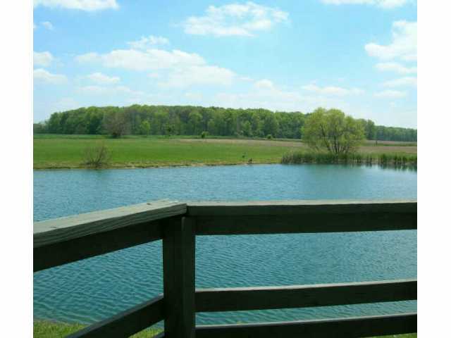 8660 Horseshoe Road Ashley, OH 43003 - Photo 4 of 5