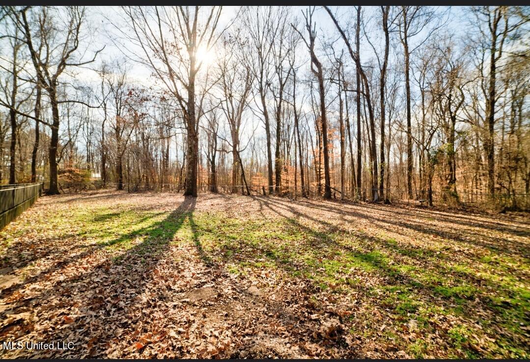 6805 Scenic Hollow Road Walls, MS 38680 - Photo 26 of 31 Screenshot_20220130-215406_Chrome