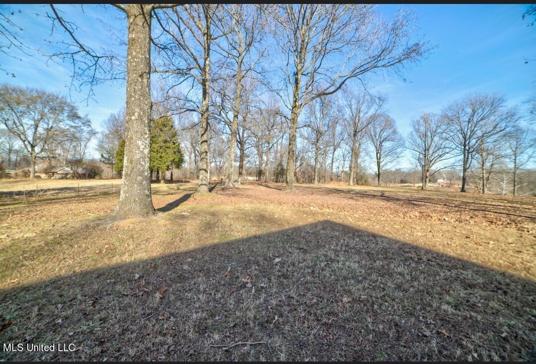 6805 Scenic Hollow Road Walls, MS 38680 - Photo 31 of 31 Screenshot_20220130-215751_Chrome