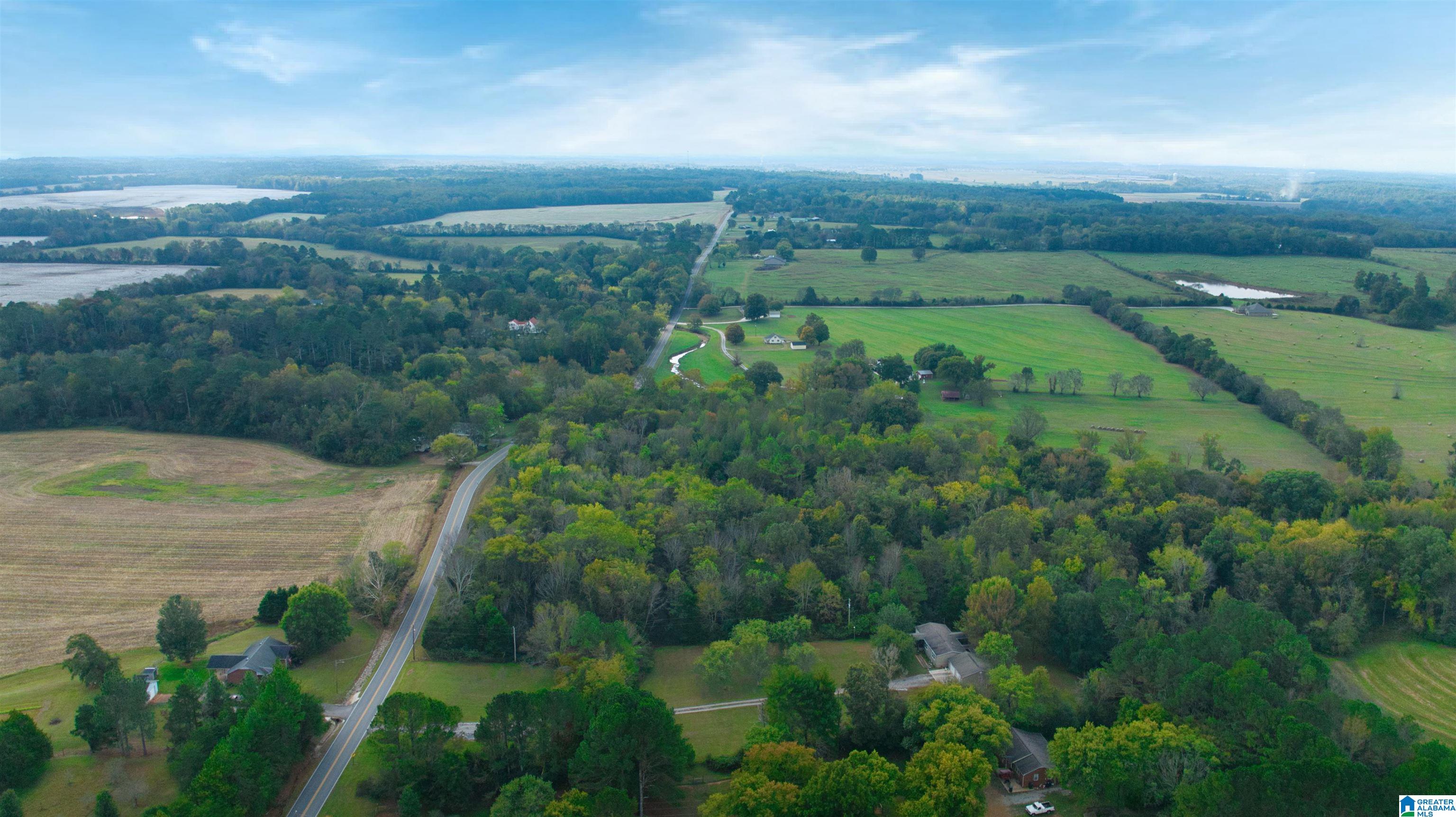 0 South Love Branch Road Toney, AL 35773 - Photo 4 of 26