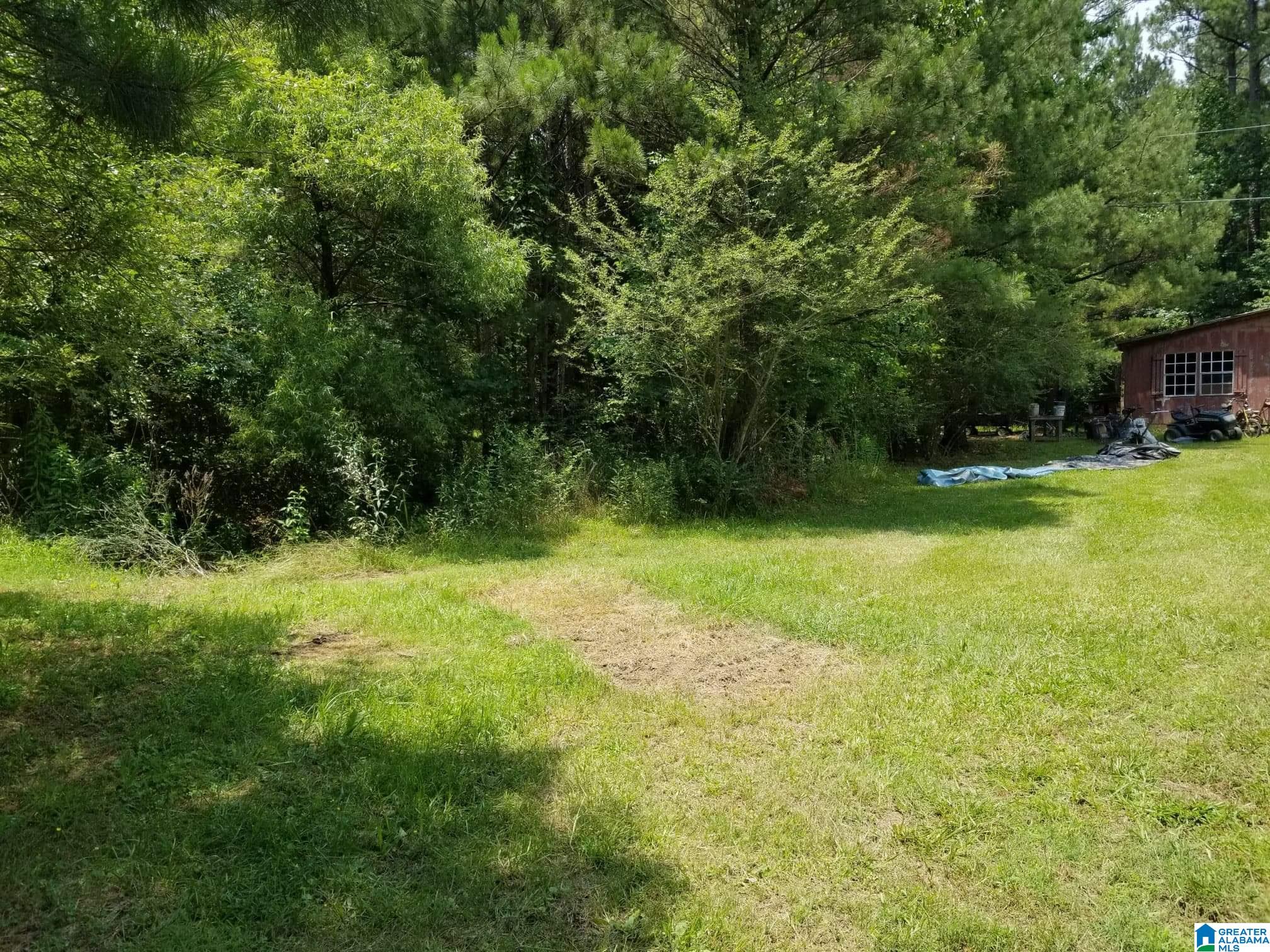 Honeycutt Road Remlap, AL 35133 - Photo 21 of 24