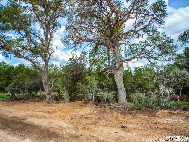 708 Sharp Spgs Road Bulverde, TX 78163 - Photo 2 of 17