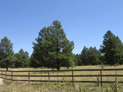 19 Forrest Ranch Rd Parks Parks, AZ 86018 - Photo 3 of 6 Additional Photo