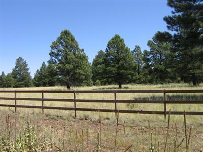 19 Forrest Ranch Rd Parks Parks, AZ 86018 - Photo 4 of 6 Additional Photo