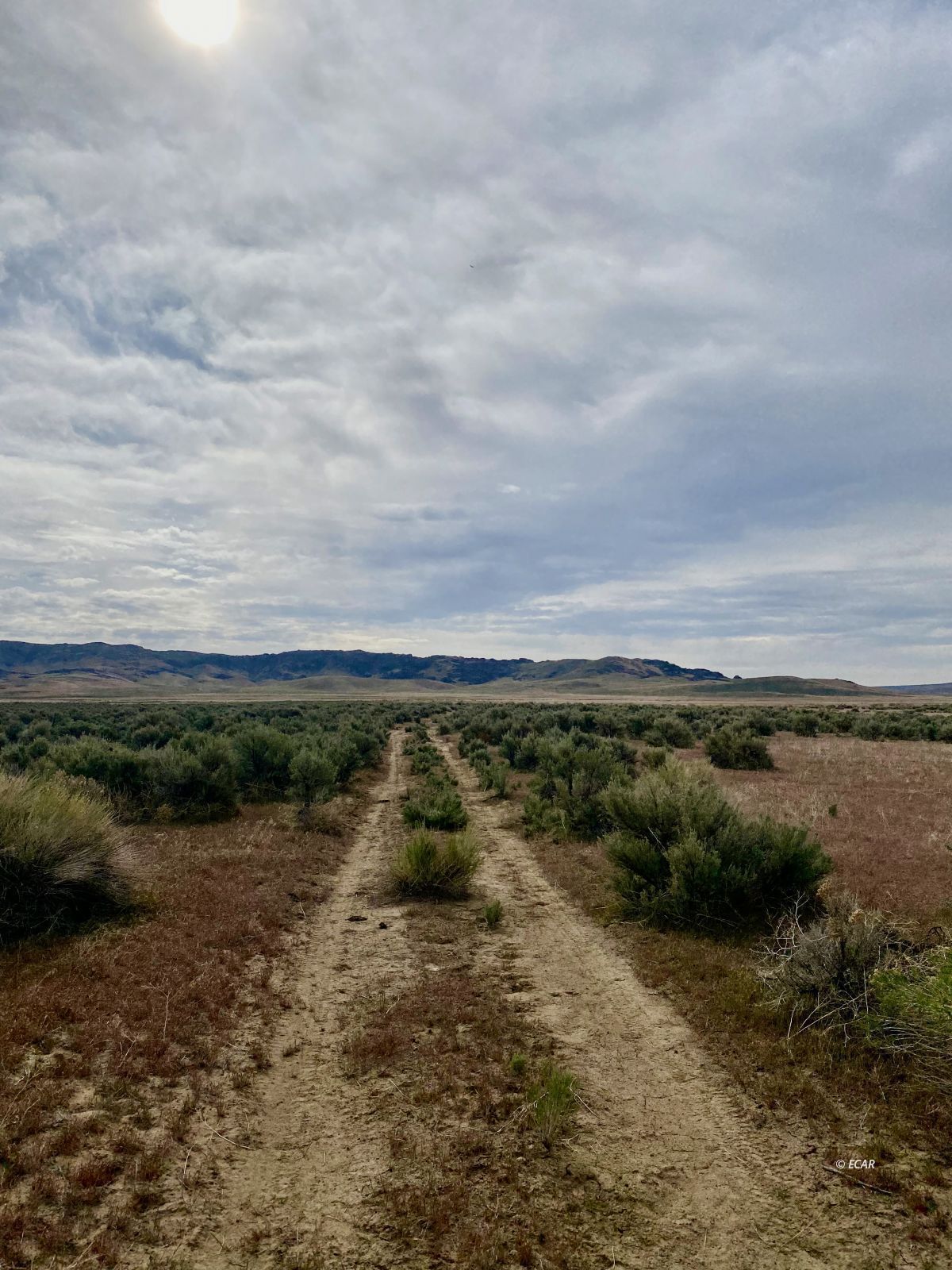 Izzenhood Ranch/ Gap Road Battle Mountain, NV 89820 - Photo 17 of 18