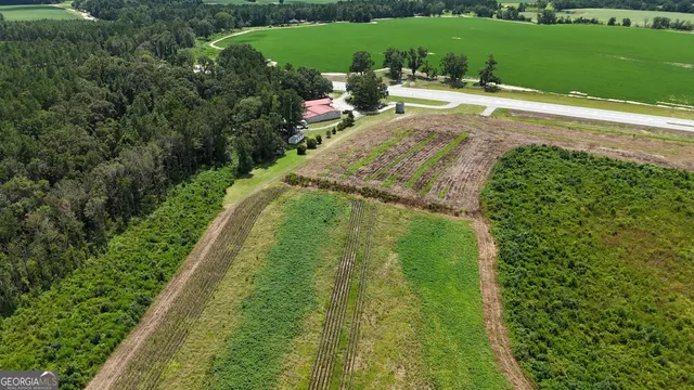 a view of a garden with a fountain
