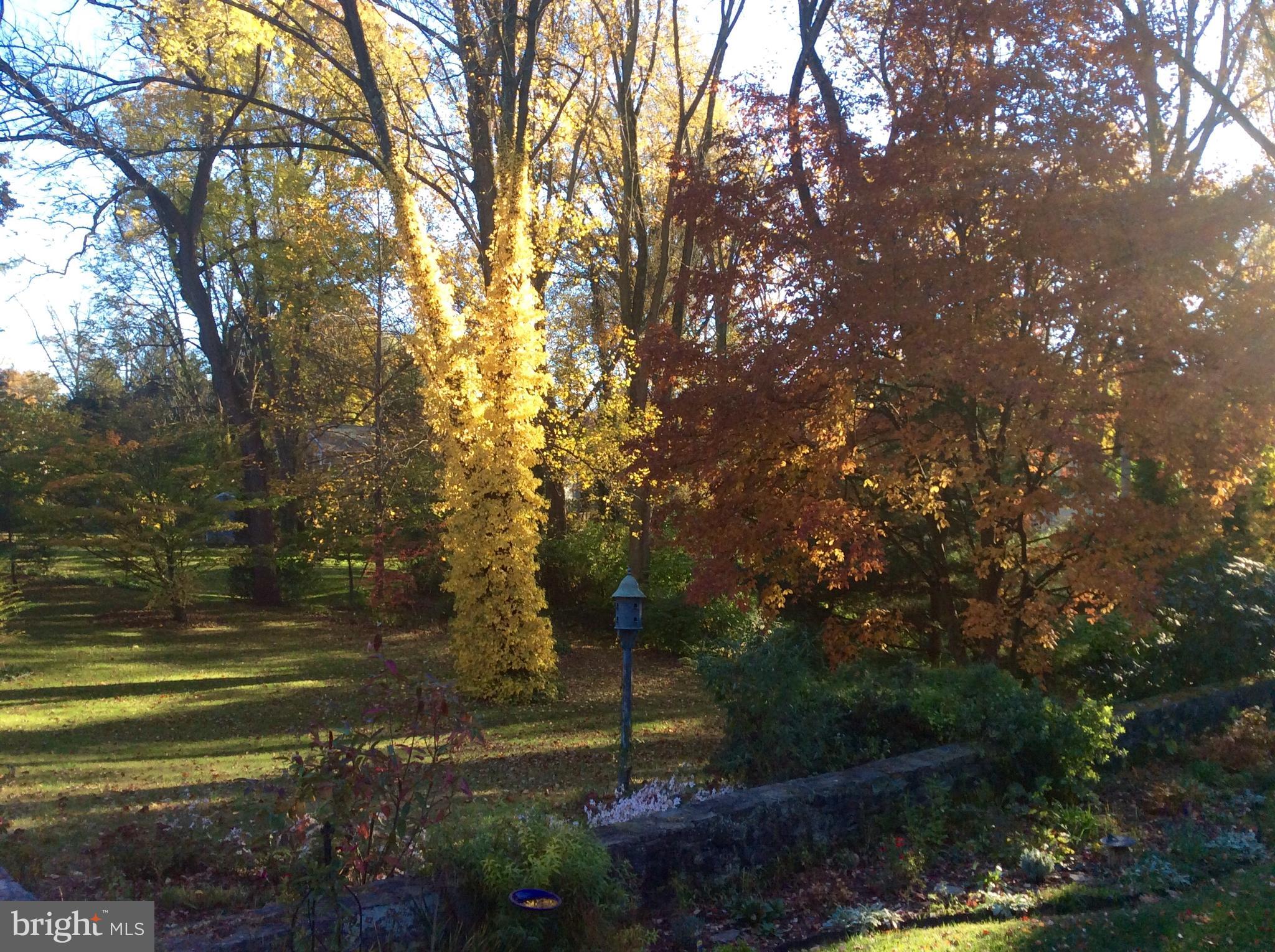 19 Hilltop Road Rose Valley, PA 19086 - Photo 28 of 28 Back Yard