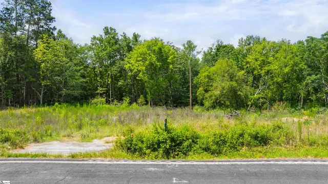 $280,000 | 6091 River Fork Road, Waterloo, SC 29384