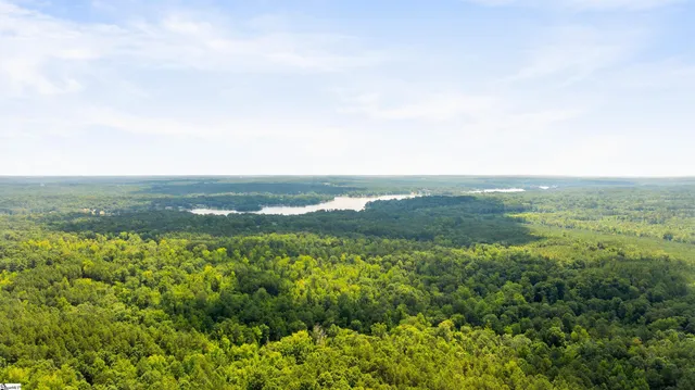 $280,000 | 6091 River Fork Road, Waterloo, SC 29384