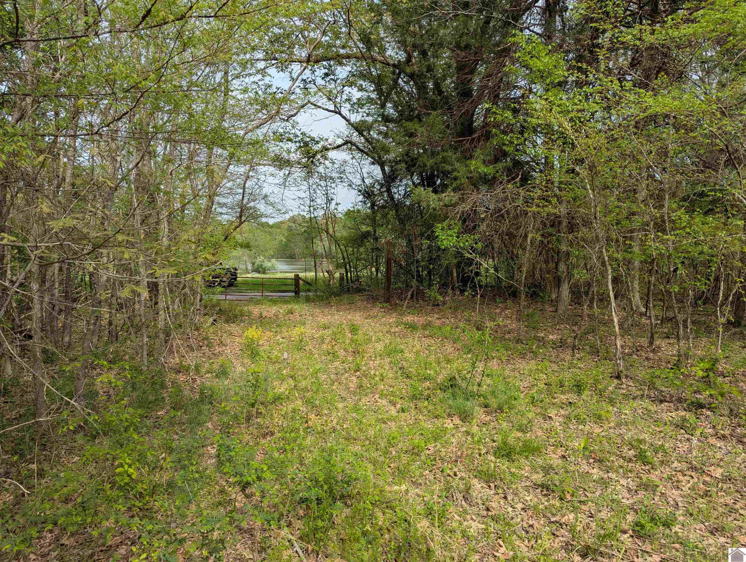 0 Wice Church Road Boaz, KY 42027 - Photo 4 of 20 Photo 4