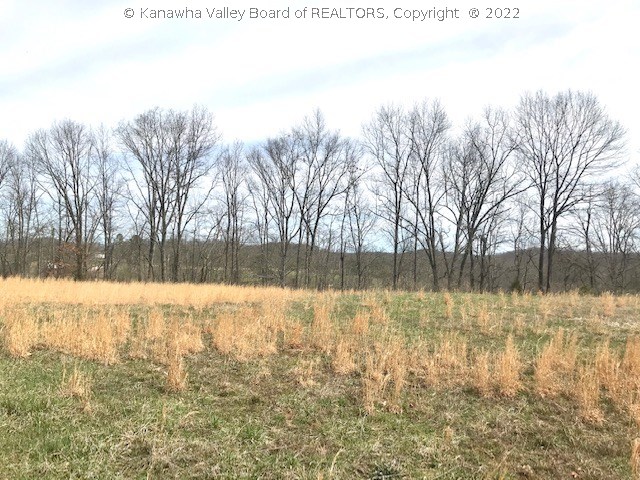 0 Links Way Ripley, WV 25271 - Photo 2 of 10 Gallery Image 2