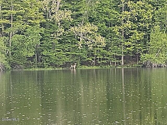 62 Tybush Lane Brunswick, NY 12180 - Photo 42 of 75 pond with deer