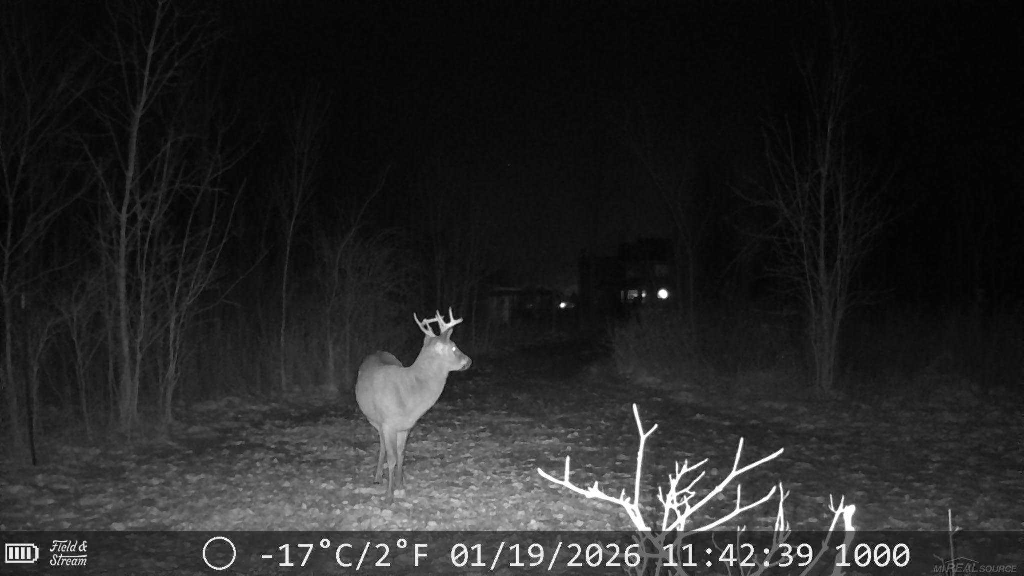 726 Brown City Road Imlay City, MI 48444 - Photo 65 of 65