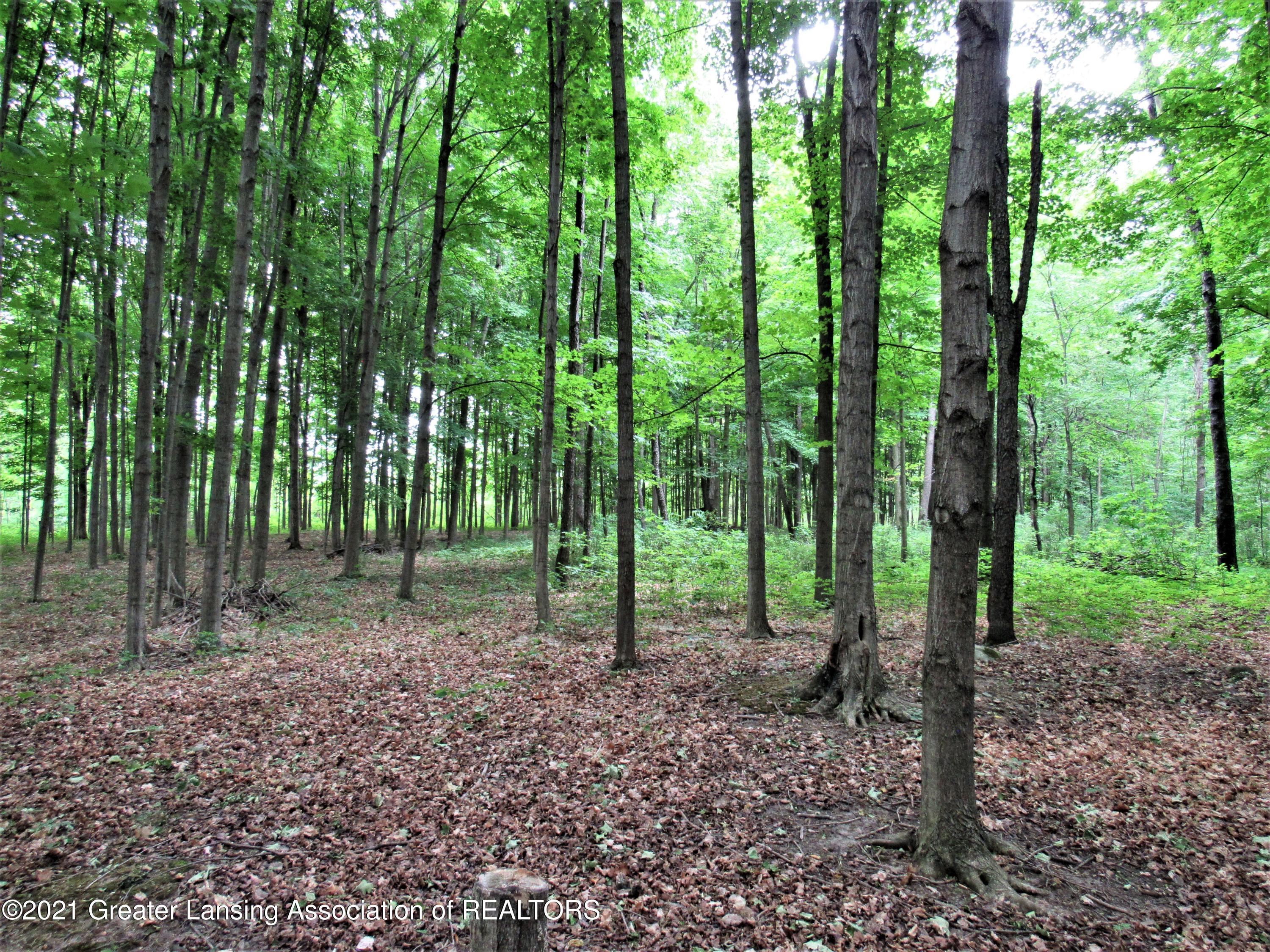 13567 Oneida Road Grand Ledge, MI 48837 - Photo 40 of 46 Hardwoods