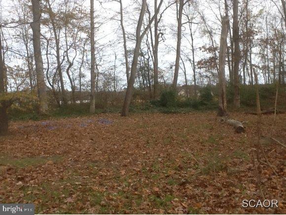 24565 Peterkins Road Georgetown, DE 19947 - Photo 7 of 8 Gallery Image 7