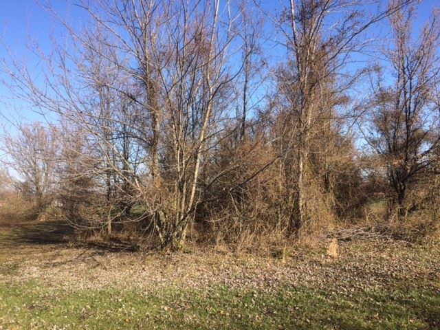 0 Taylorville Road Tennyson, IN 47637 - Photo 1 of 2