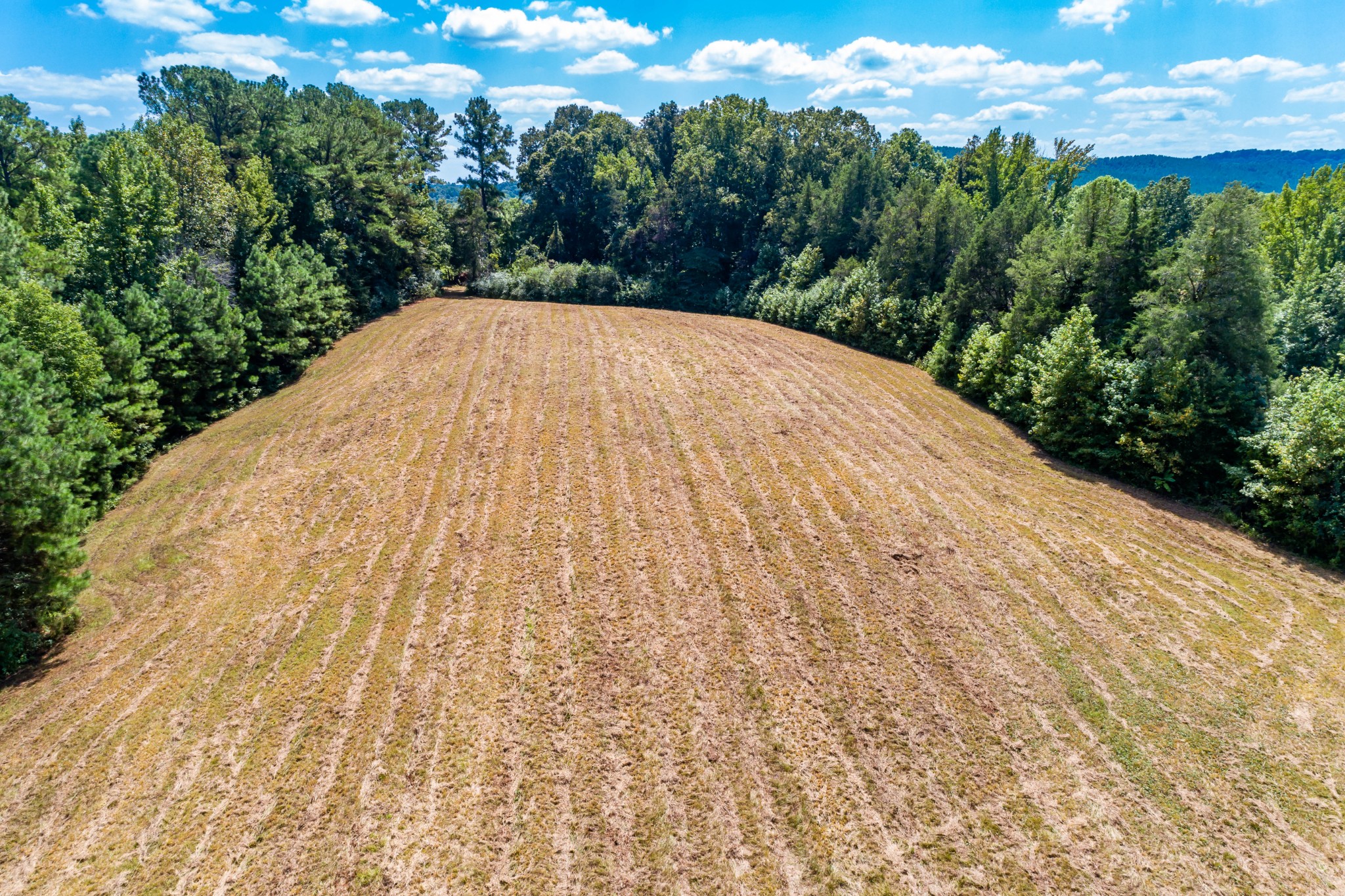 2432 Old Furnace Road Decaturville, TN 38329 - Photo 19 of 33 Gallery Image 19