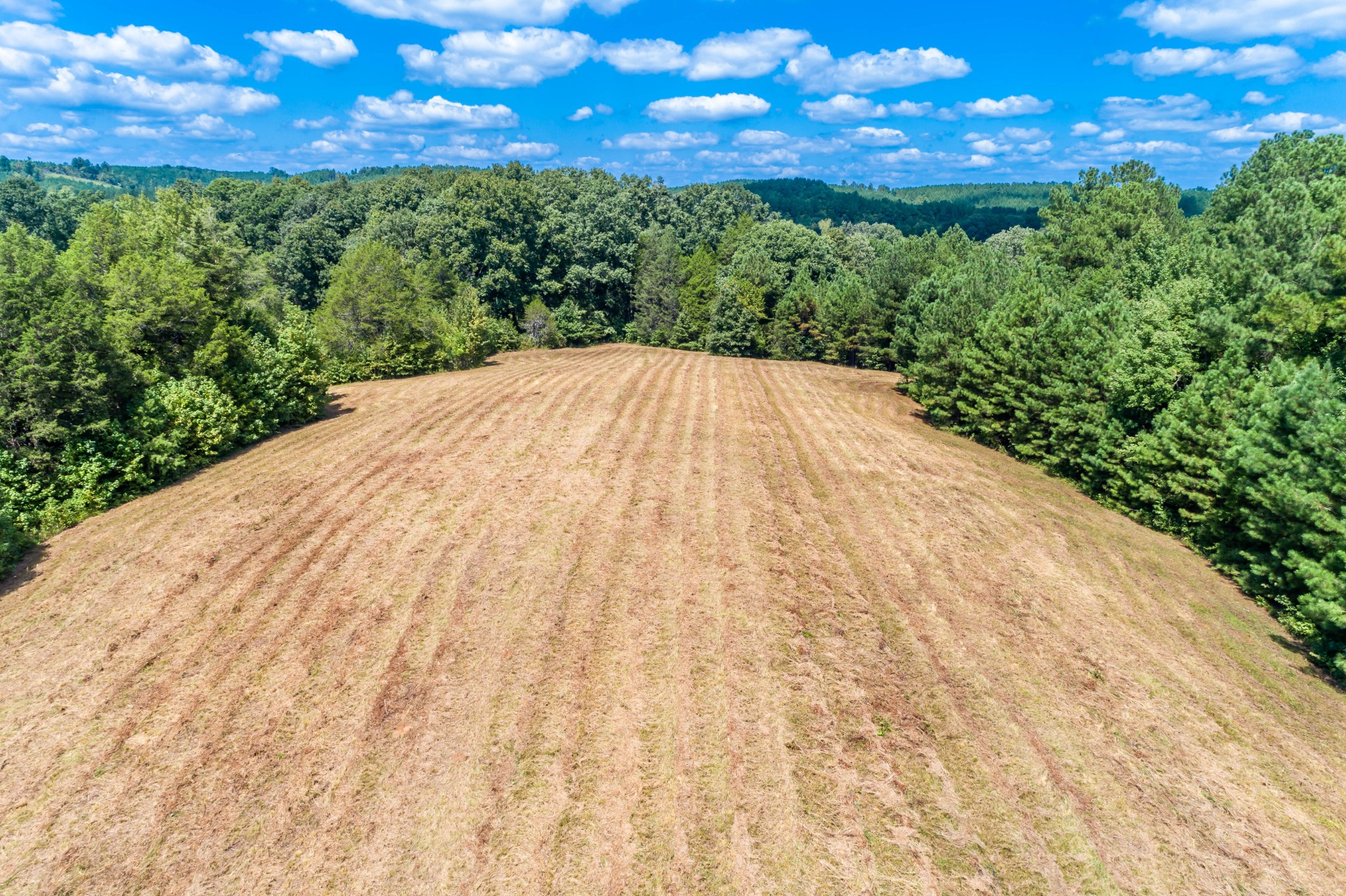 2432 Old Furnace Road Decaturville, TN 38329 - Photo 22 of 33 Gallery Image 22