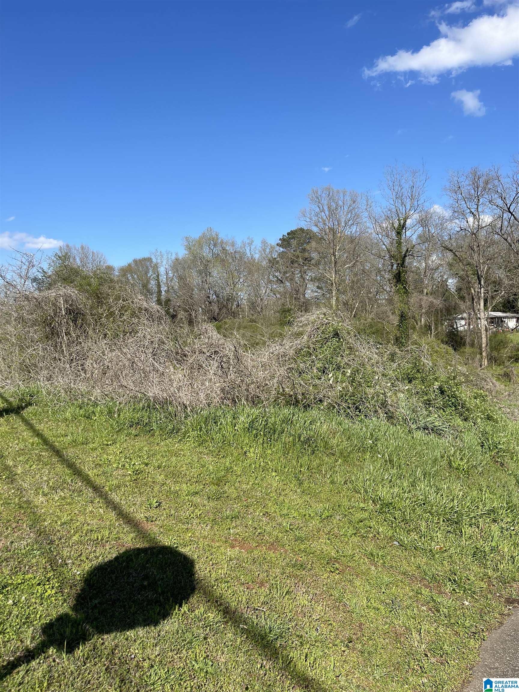 0 Franklin Road, Unit 1 Roanoke, AL 36274 - Photo 3 of 4