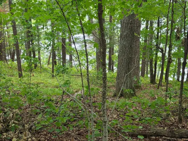 $569,500 | 2406 4th Street, Cumberland, WI 54829
