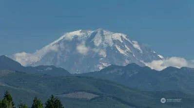 a view of garden with statue and wooden fence