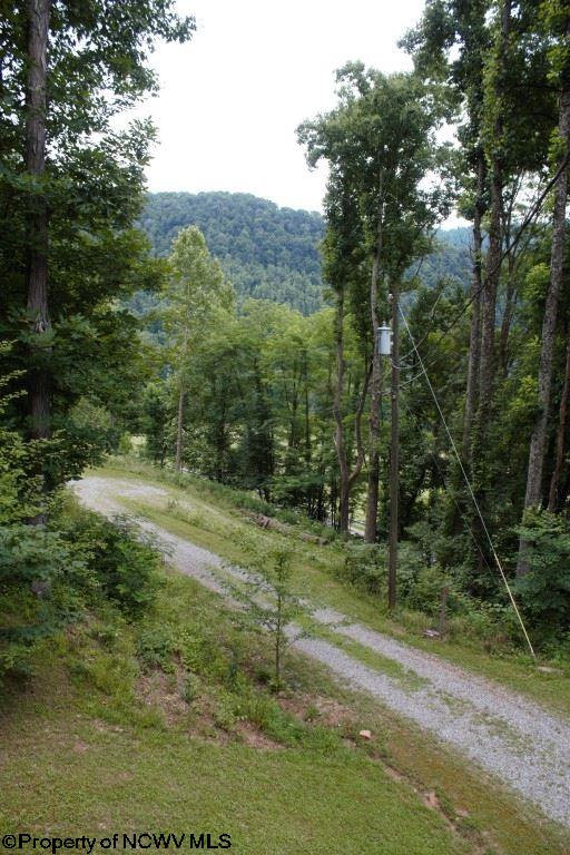 771 Bergoo Road Webster Springs, WV 26288 - Photo 16 of 20 Gallery Image 16