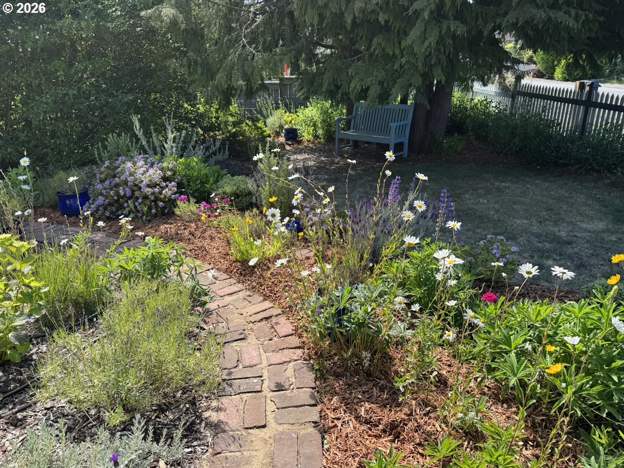 886 1st Street Southeast Bandon, OR 97411 - Photo 30 of 40 a backyard of a house with lots of green space and garden