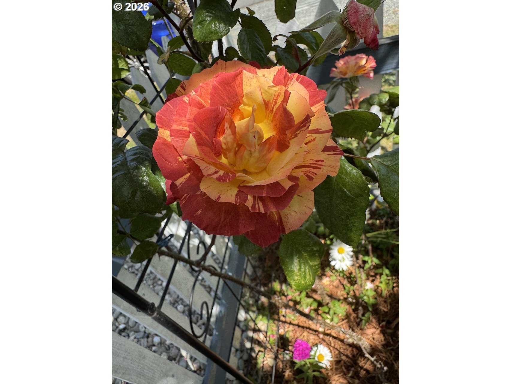 886 1st Street Southeast Bandon, OR 97411 - Photo 32 of 40