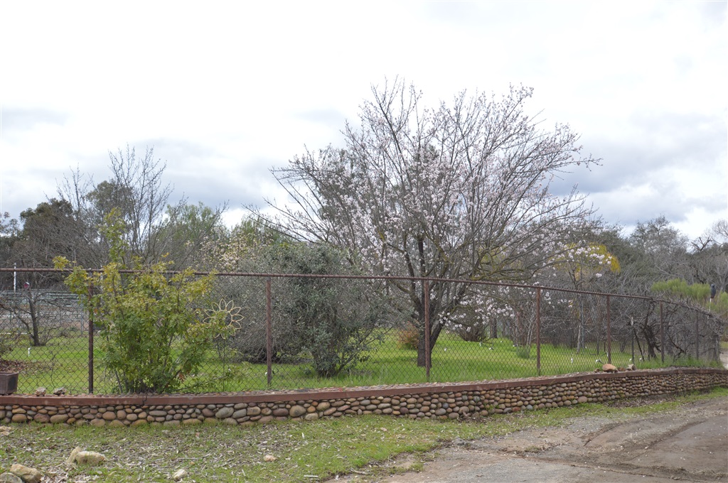 18310 Bunny Drive Jamul, CA 91935 - Photo 21 of 23