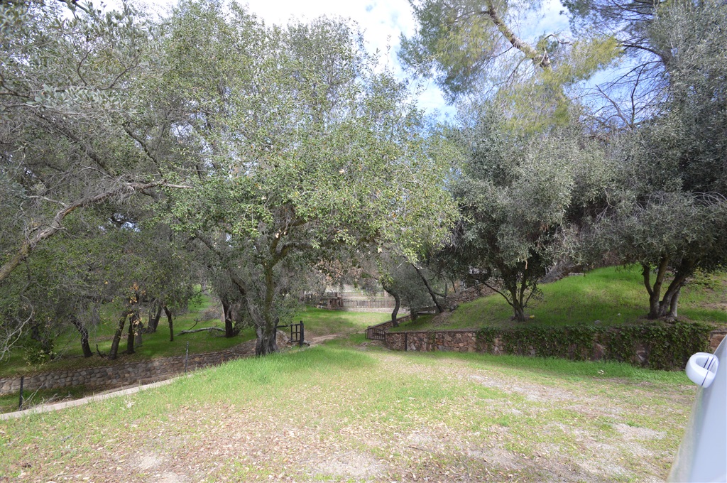 18310 Bunny Drive Jamul, CA 91935 - Photo 23 of 23