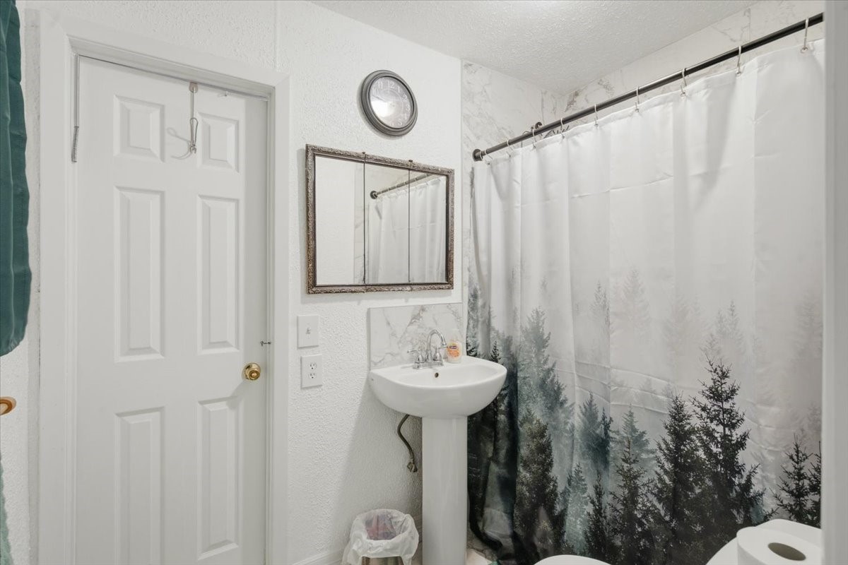 765 Norcross Road Wallis, TX 77485 - Photo 23 of 42 This is a compact bathroom with a pedestal sink, a wall-mounted mirror, and a shower with a nature-themed curtain. The room features a white door and textured walls, creating a clean and simple look.