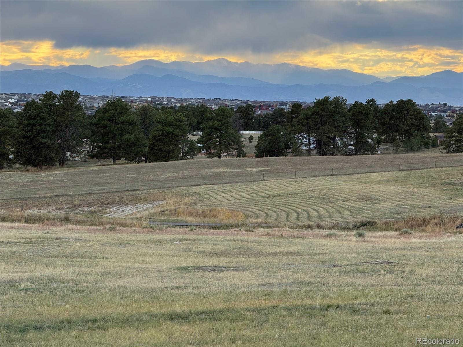 10631 Shadow Pines Road Parker, CO 80138 - Photo 1 of 11 Gallery Image 1