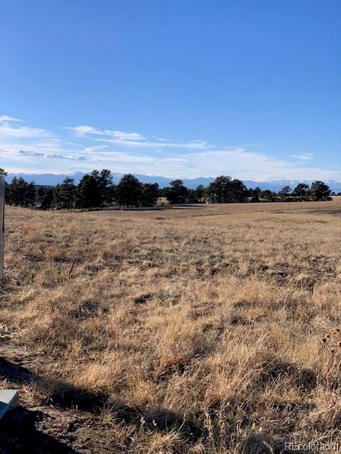 10631 Shadow Pines Road Parker, CO 80138 - Photo 11 of 11 Gallery Image 11