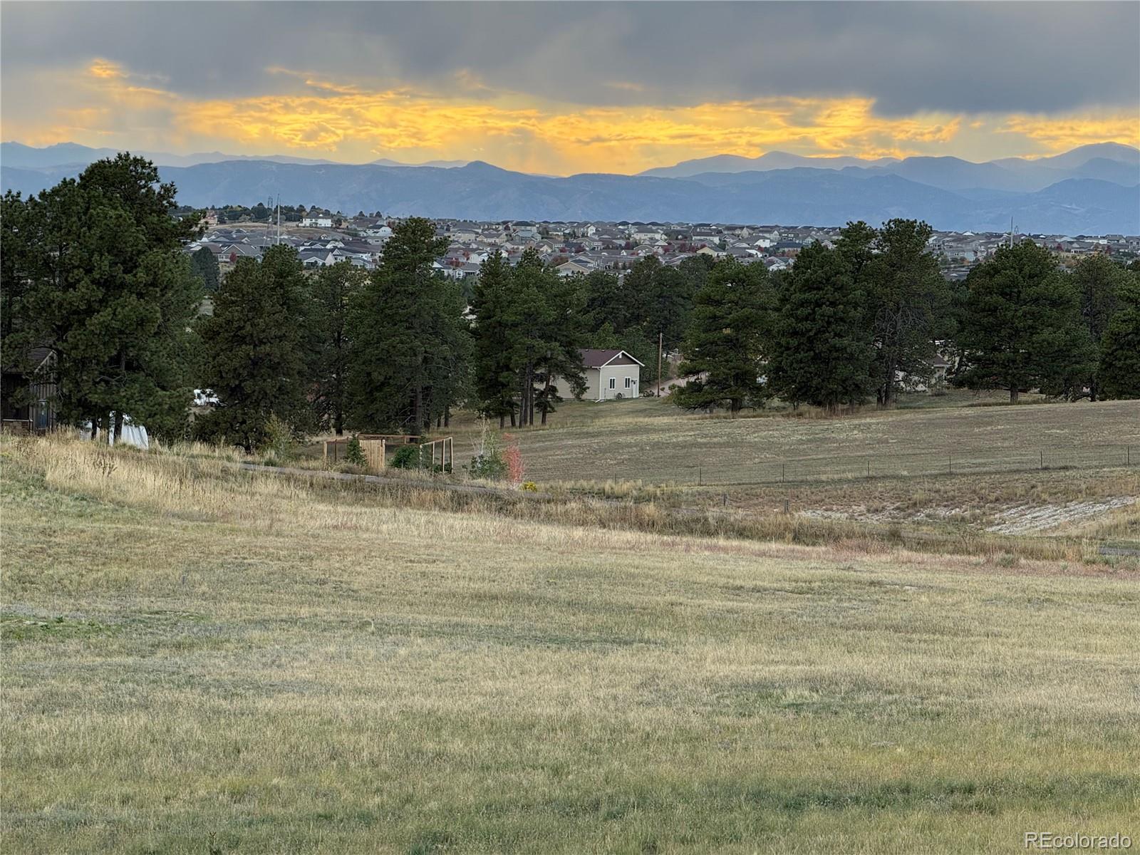 10631 Shadow Pines Road Parker, CO 80138 - Photo 2 of 11 Gallery Image 2