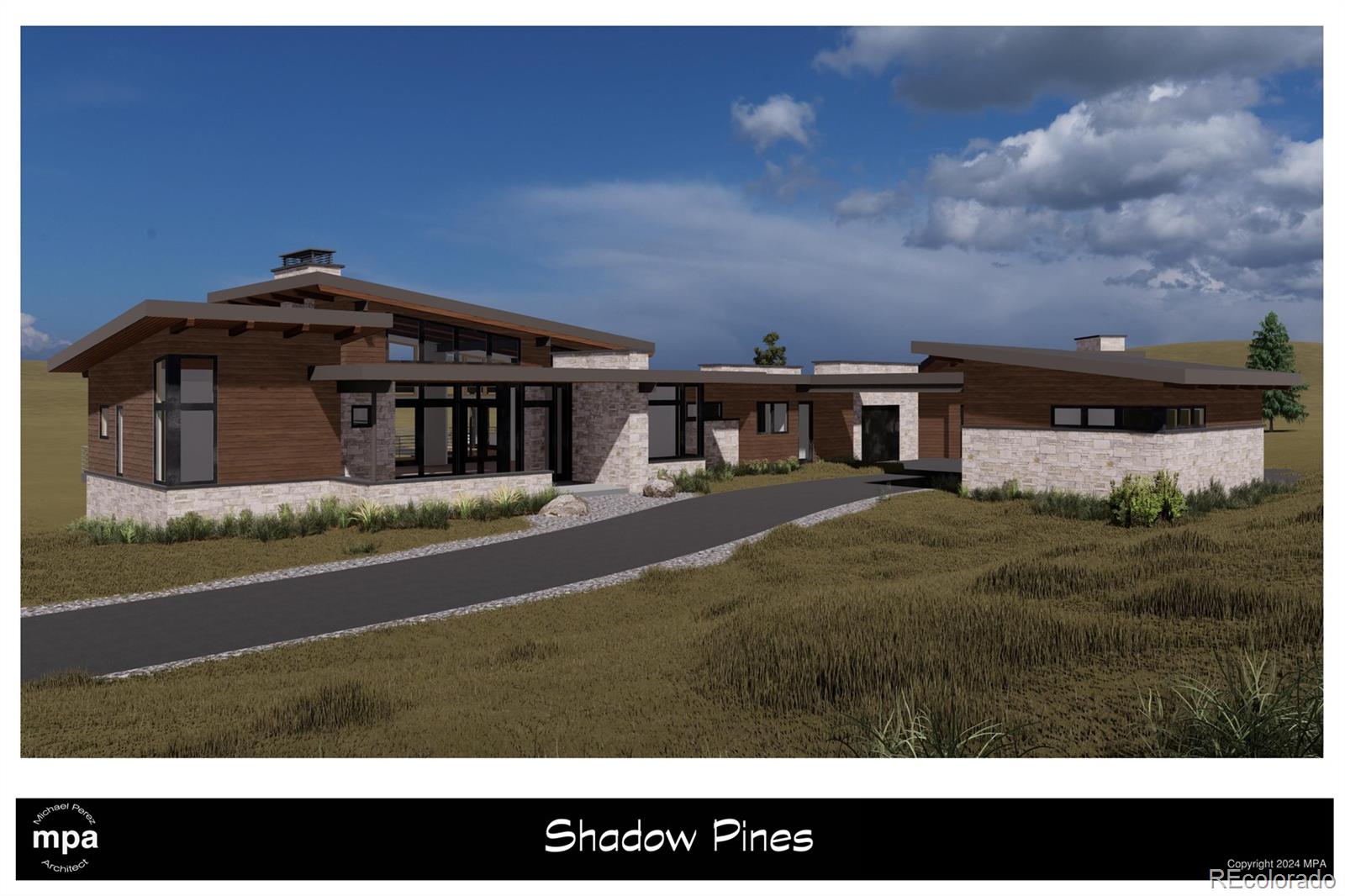10631 Shadow Pines Road Parker, CO 80138 - Photo 3 of 11 Gallery Image 3