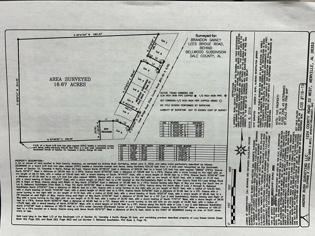 16.14-ac Lees Bridge Road Midland City, AL 36350 - Photo 28 of 28