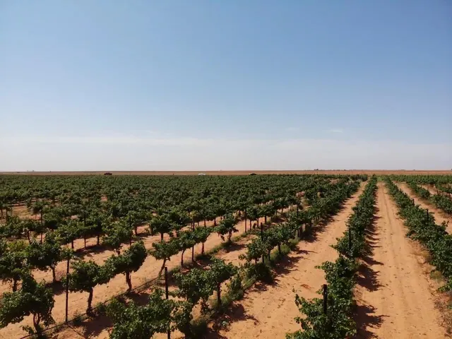 an aerial view of residential building and ocean