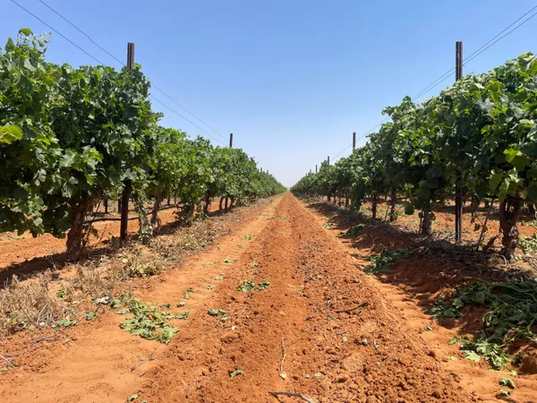 $4,875,000 | 1 Us-380, Brownfield, TX 79316