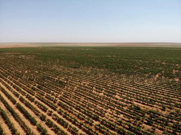 $4,875,000 | 1 Us-380, Brownfield, TX 79316