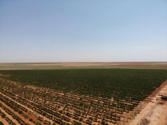 $7,075,000 | 1 Us-380, Brownfield, TX 79316