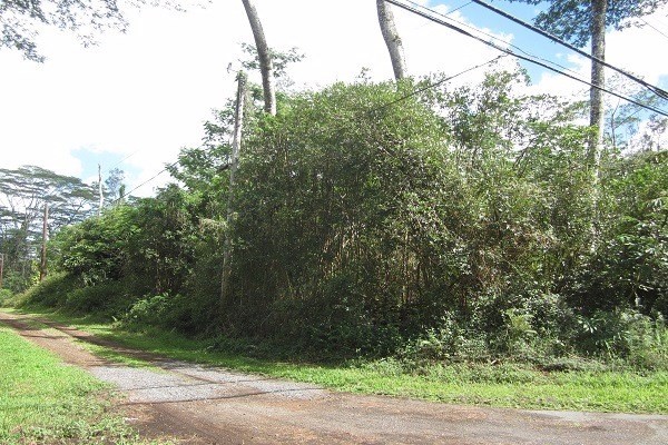 564 Lanai Road Pahoa, HI 96778 - Photo 3 of 16 Gallery Image 3