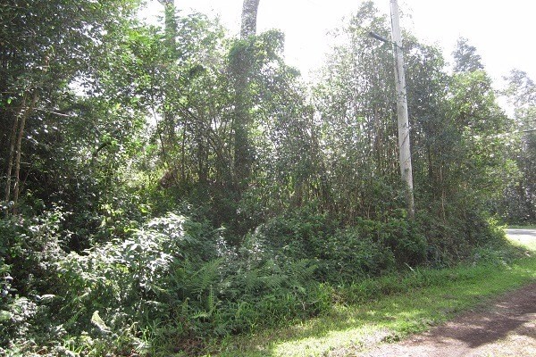 564 Lanai Road Pahoa, HI 96778 - Photo 4 of 16 Gallery Image 4
