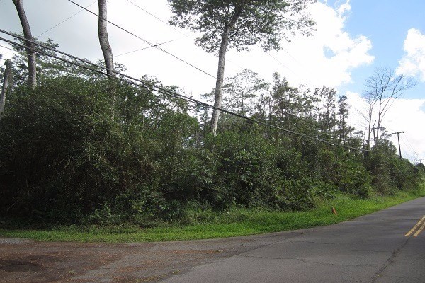 564 Lanai Road Pahoa, HI 96778 - Photo 6 of 16 Gallery Image 6