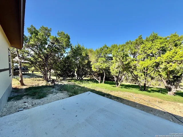 a view of a park with large trees