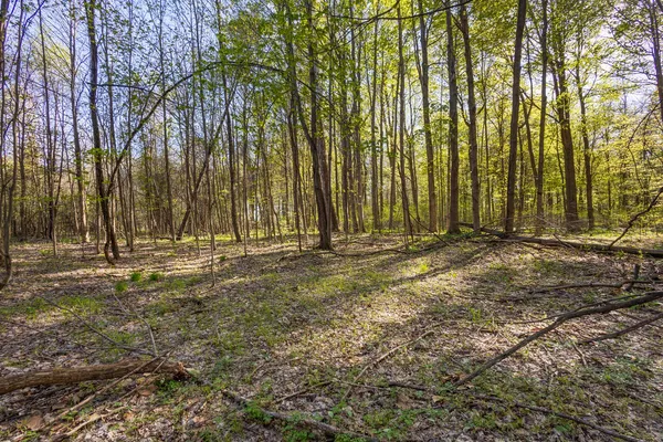$220,000 | 52933 68th Avenue, Lawrence, MI 49064