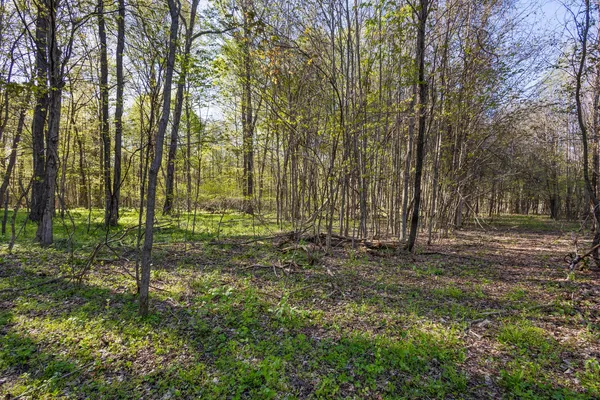$220,000 | 52933 68th Avenue, Lawrence, MI 49064